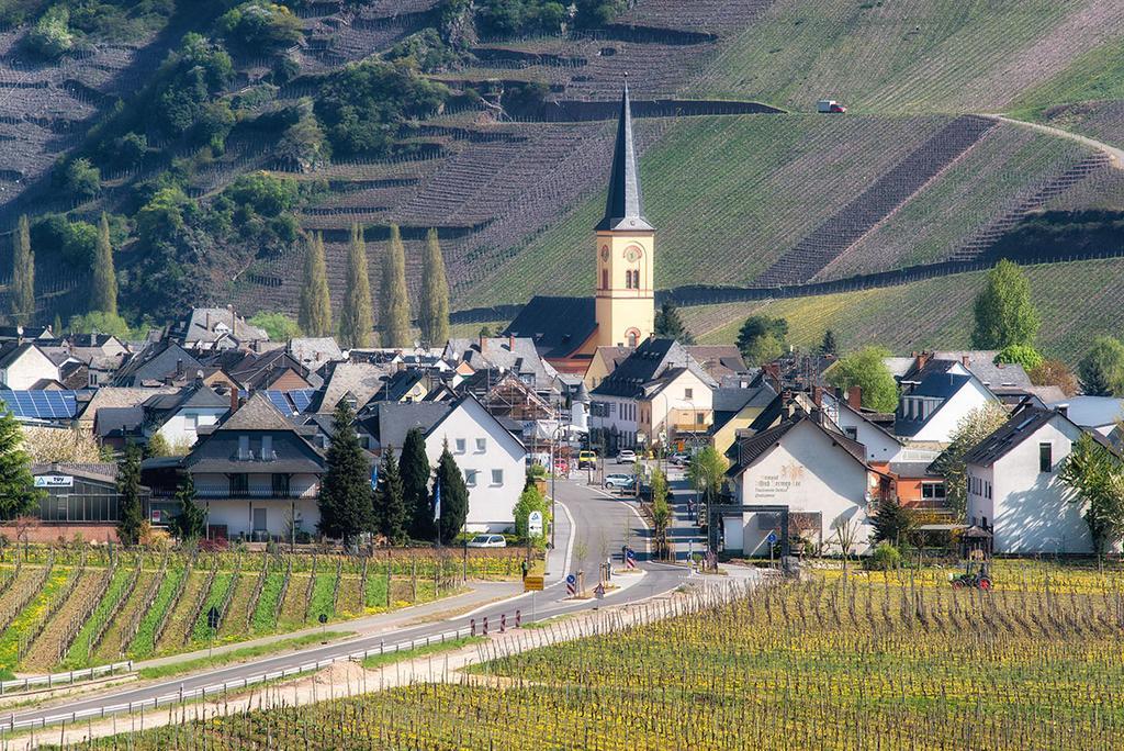 Weingut & Gaestehaus Edwin Hoffmann 트리텐하임 외부 사진