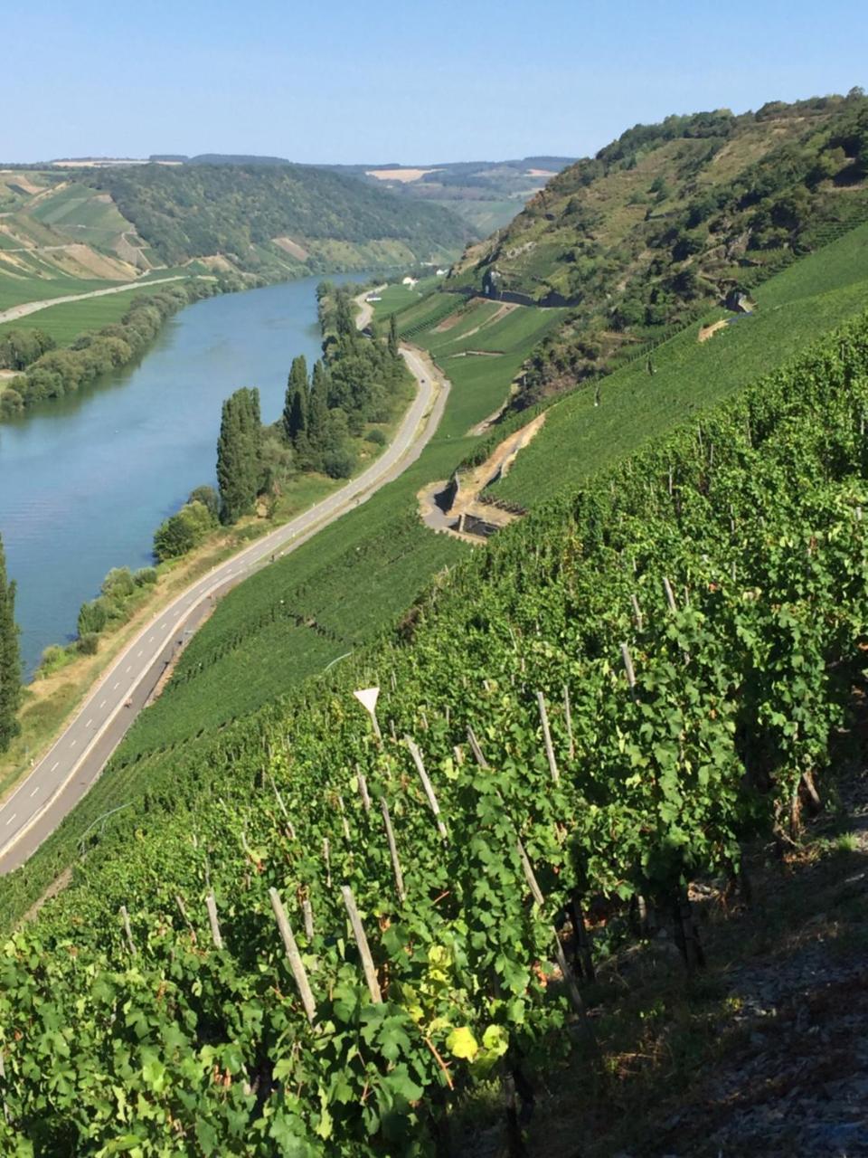 Weingut & Gaestehaus Edwin Hoffmann 트리텐하임 외부 사진